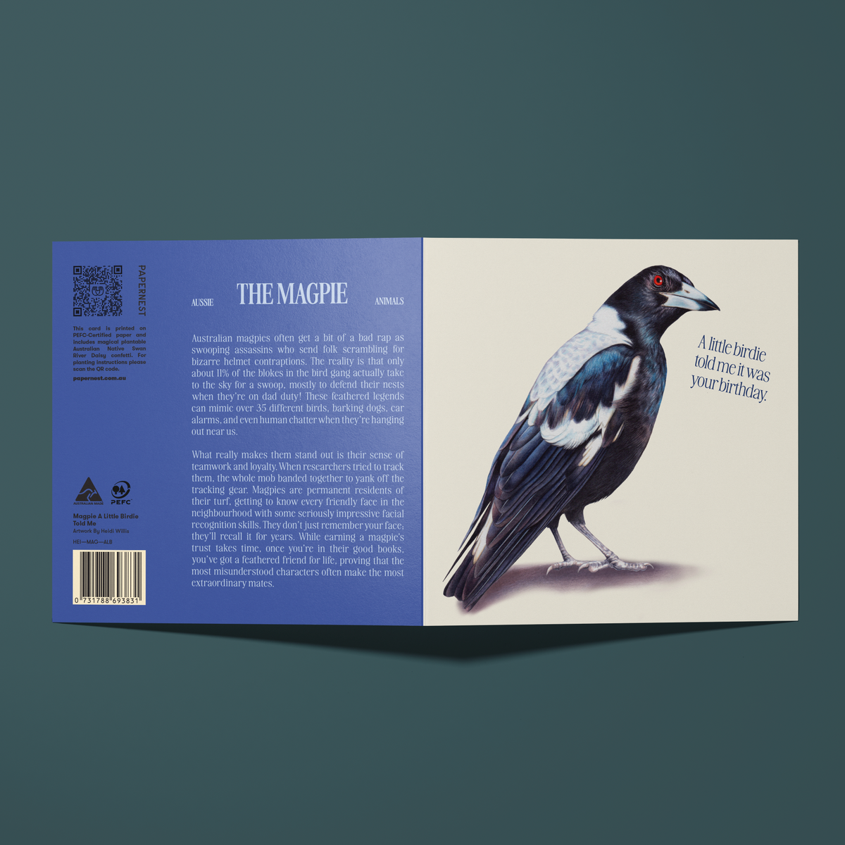 Greeting card with a Magpie illustration reading "You're MAG-nificent". Featuring fun facts about the Magpie on the back of the card.