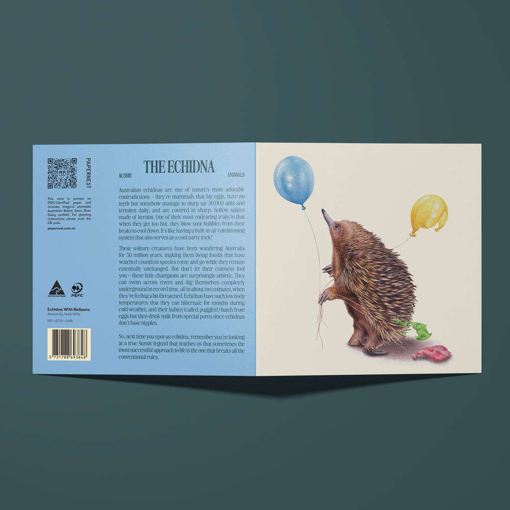 Greeting card with an illustration of an echidna holding a balloon a bunch of balloons, some have burst on his spikes. 
