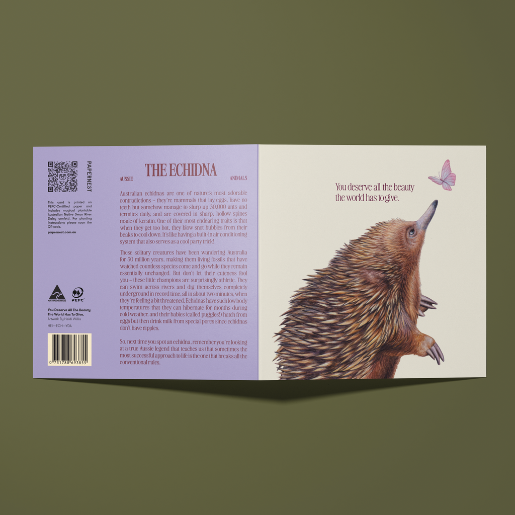 Greeting card with an echidna looking up at a butterfly illustration. Card reads, You Deserve all the beauty in the world.